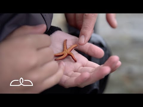 Tiny Miracles | Alaska