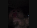 B-Marsh The Bunny
