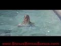 wild things - denise richards pool scene wow look at her being watched bby him denise richards..........