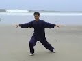 Wu Tai Chi Taiji 1
