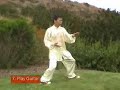 Wu Tai Chi Taiji 1