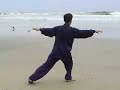 Wu Tai Chi Taiji 1