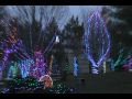 wildlights.mov