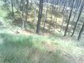 KTM Hill Climb KTM Hill Climb