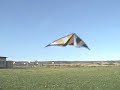 EOB Mantis