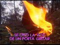 Video musical-Karaoke