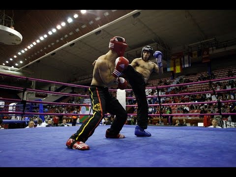 European Kickboxing Championship Galla Fights Full Contact, K1, Low Kick