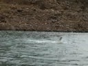 Thao \"wakeboards\" (2)
