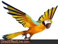 DirectEffect Live: The Sims 2: Apartment Life, Pets  Trailer