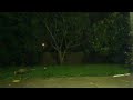 Possum in my backyard - Orlando Florida