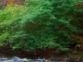 videos de paraiso_natural--.wmv