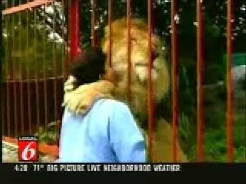 Lion Hugs Woman Who Saved Its Life