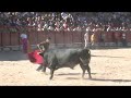 ENCIERRO DE CHINCHON.25.7.2008