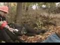 turkey hunting