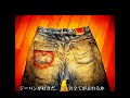 levis cgcm ver2 