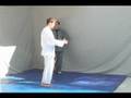 Zhan Zhuang - Standing Stake Tai Chi Lesson