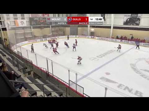 Highlighted Saves v. LI Gulls U18 (NE Pack)