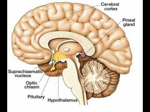 how to recover eye power