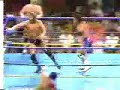 Frankensteiner