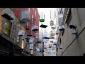 Bird cages in Sydney