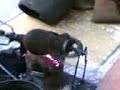 071111.html