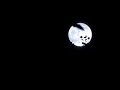 ver trabalho Super Lua vista da Bairrada