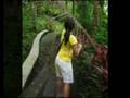 videos de ACAMP Video.mpg