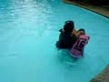 UE Caloocan - Buklod Sining SWiMMiNG UE Caloocan - Buklod Sining SWiMMiNG