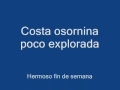 pucatrihue