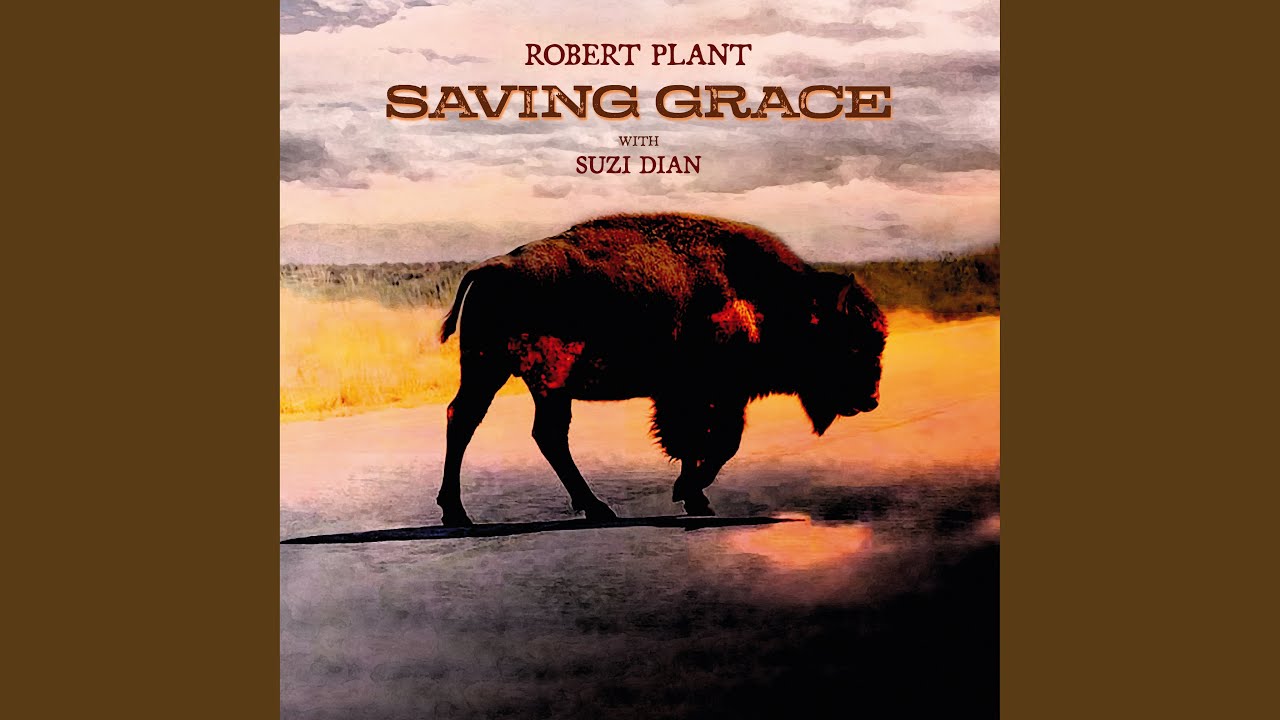 Saving Grace - Robert Plant [VINYL]