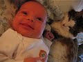 Harry Meets Samuel