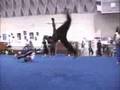 freestyle martail arts