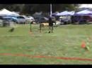 Chloe - Jumpers 1