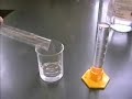 nuclearrabbit