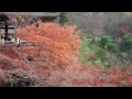 日本の景観/紅葉の清水寺2009