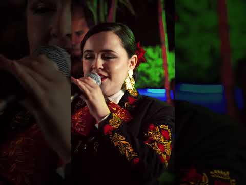 Video de la agrupación Mariachi Dinastia Dorada