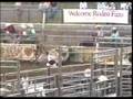 Rodeo Reality - visit SHARKONLINE.ORG