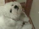 George