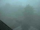 Then there was Fog