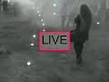 Gang Olsena "Aldona Jest Super" live
