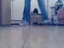 Max`s C-WALING