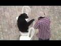 Chimp Attack