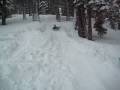 videos de Iron Eagen, Blane, and Ynot Snow Sledding in Tahoe 2008