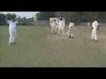 Lollu-Sabha-Cricket