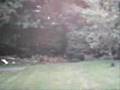 airsoft war maidenhead