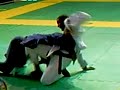 Rodrigo Cabral \"Brucutu\" Vs Sergio Moraes