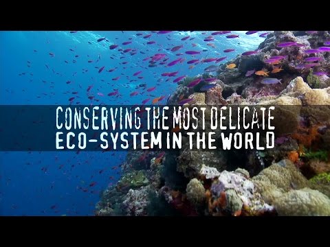 Sea Shepherd Does What Others Can't or Won't