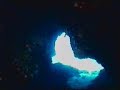 Immersioni a Torre Lapillo - Delfin Diving - Immersioni a Torre Lapillo - Delfin Diving -