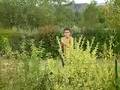 videos de Glissade