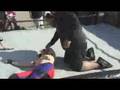 videos de 4 corners tag match for rumble postion part 2